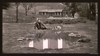 Tarkovsky's proximity / Tarkovski's proximite