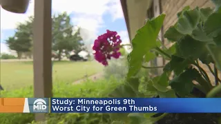 WCCO Viewers Respond To Reports Minneapolis Is A Bad 'Green Thumb' City