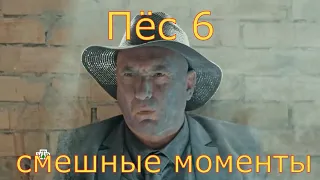 Пёс 6 (5) Гнездилов - смешные моменты