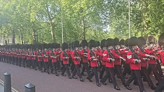 A Royal Red Sight Of King's Guards