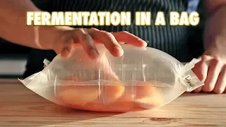 The Easiest Way To Ferment Any Fruit (Lacto-Fermentation)