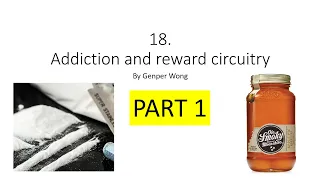 HKBB101 | 18 PART 1 | Addiction and reward circuitry