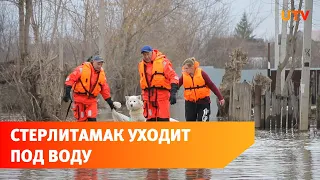 В Стерлитамаке из затопленных территорий спасают людей и животных