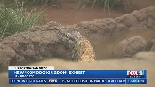 San Diego Zoo To Debut 'Komodo Kingdom' Exhibit