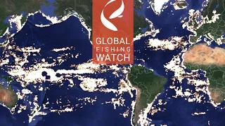 Introducing Global Fishing Watch