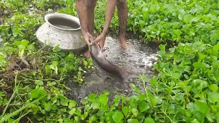 Amazing Hand Fishing Method! Unbelievable  Boy Catching Catfish By Hand By Removing Water Hyacinth.