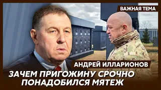 Илларионов о пауках в кремлевской банке