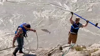 Salmon Dipnetting The Most Dangerous River For The Most Expensive Fish In Alaska