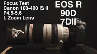 Focus Test on EOS R 90D 7DII Canon 100-400 II L F4.5-5.6