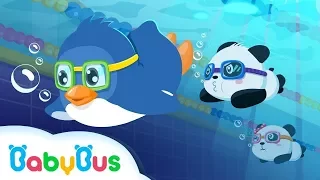 Baby Panda Sports - Swimming | Animation For Babies | BabyBus