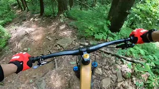 Farlow Gap - most technical trail in Pisgah