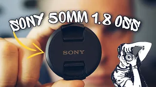 Обзор Sony 50mm F1.8 OSS / На Sony a6000(2023 г.)