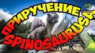 Приручение Spinosaurusa (Спинозавра) - Играем в ARK Survival Evolved