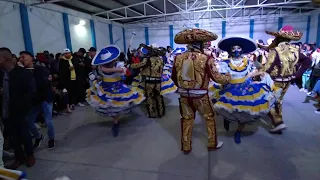 Comparsa Faisanes, Festejando Su Tradicional Carnaval  / Orq. Juvenil Nicho Castillo