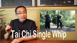 Basic Practice Teaching Series (12): Tai Chi Single Whip Correction