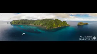 Cocos Island with the Aggressor Fleet | Infinite Blue Dive Travel