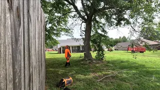 Removing problem trees one at a time
