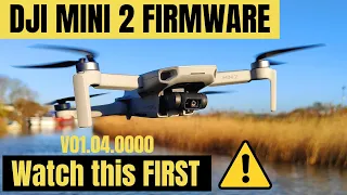NEW DJI Mini 2 FIRMWARE Review & Test v01.04.0000 | Fly App 1.5.10