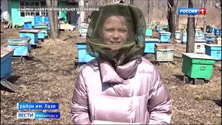 "Таёжный блог" пчеловодов "на гектаре" набирает популярность в Хабаровском крае