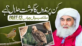 Kin Parindon Ka Ghosht Khana Halal Hai? (Part:12) | Shikar Karne Wale Parinday |Maulana Ilyas Qadri