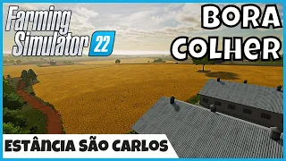 FS22 | Muita Roça pra Colher Na Fazenda Estância São Carlos, Trigo e Cevada | FARMING SIMULATOR 22