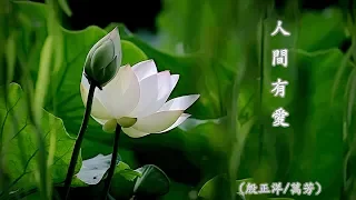 人 間 有 愛  (殷正洋 / 萬芳) ( 點選字幕有歌詞 ) (高畫質 高音質)