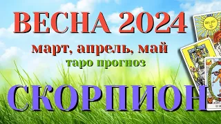 СКОРПИОН 🌷🌷🌷 ВЕСНА 2024 СРОЧНО! События на ПОРОГЕ таро прогноз на март, апрель, май  Таро Расклад