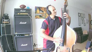 Eddie Cochran - Twenty Flight Rock (Double Bass Slap Cover)