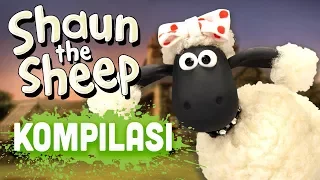 Shaun the Sheep - Season 4 Compilation (Episodes 26-30)