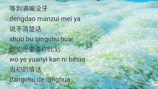 下辈子还要和你成个家(xia bei zi yi ding hai yao he ni cheng ge jia) Lyrics Pinyin