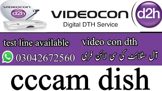 Videocon D2H Free Cccam Mgmcamd Oscam Cline