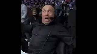 Joe Rogan reaction to Usman's KO over Masvidal #Shorts #UFC261