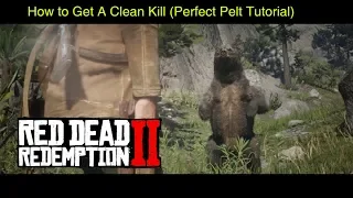 Red Dead Redemption 2: How To Get A Perfect Pelt Without Damaging It (No Trinkets Required)