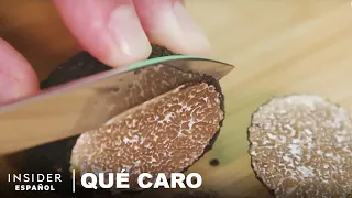 Por qué las trufas verdaderas son tan caras | Qué caro