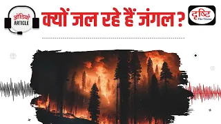 Forest Fire | Audio Article | Drishti IAS