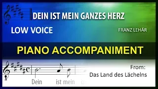 Dein ist mein ganzes Herz Karaoke Franz Lehár Low Voice