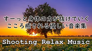 自律神経に優しい音楽集　経性胃炎、過敏性腸症候群、吐き気、立ちくらみ、頭痛、不安、イライラなどの症状を和らげることができ睡眠の質を良くしたり、自律神経緩和、リラックス効果、集中効果