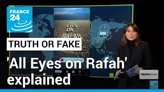 “All Eyes on Rafah:” Where does this viral image come from? • FRANCE 24 English