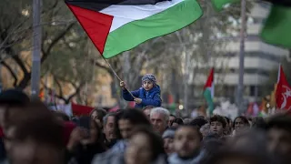 How pro-Palestinians in Spain view Madrid's recognition of Palestine?