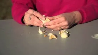 How to Plant Garlic in Ohio : Planting Garlic & Gardening Tips