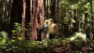 Protecting Peters Creek Redwoods