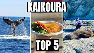 Kaikoura New Zealand // WHAT TO DO in Kaikoura