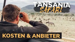 So TEUER war unsere Safari in Tansania! 🤯 |Safari Kosten, Anbieter, Ablauf etc. | Fragen & Tipps