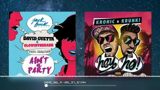 [David Guetta UMF Miami 2016 Mashup] Ain't A Party vs. Hey Ho! (DJ Bau Remake)