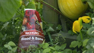How to Enrich your Garden | Richgro Blood and Bone