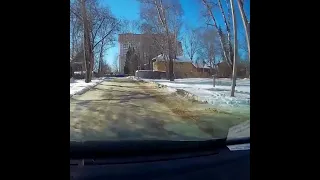 МУЖЧИНА СПАС КОТА, НА КОТОРОГО НАБРОСИЛАСЬ СТАЯ СОБАК / A man saved a cat from a dogs