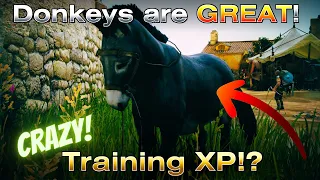 How To Power Level Training FASTER Using ONLY Donkeys In Black Desert Online