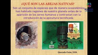 Seminario: “El Conocimiento y Preservación de las Abejas Nativas como Patrimonio Biocultural”