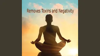 741 hz Removes Toxins and Negativity