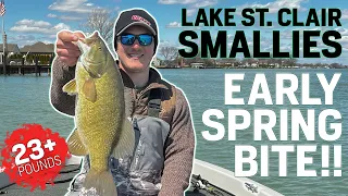 Lake St. Clair SMALLMOUTH Smackdown! - EARLY SPRING (23+ LBS)